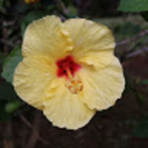 Meet your Posher, Dan